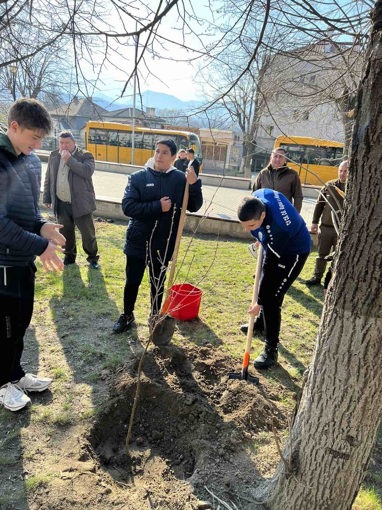  ЮЗДП: Горски служители от ТП „ДГС Симитли“ съвместно с Община Симитли и с ученици залесяват в Седмицата на гората
