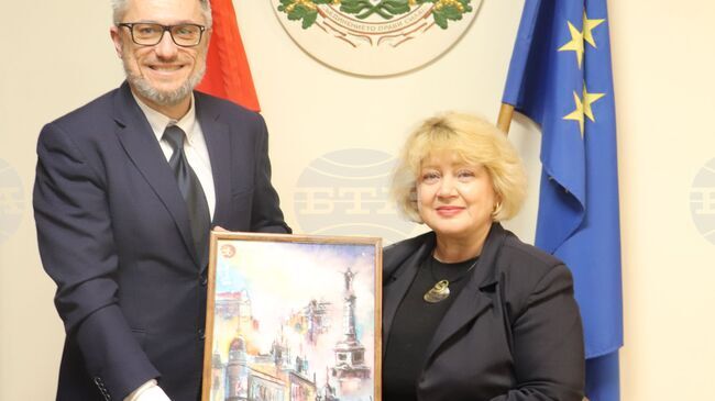 Ruse Regional Governor Discusses Dunav Bridge Repair Works with Romanian Ambassador to Bulgaria
