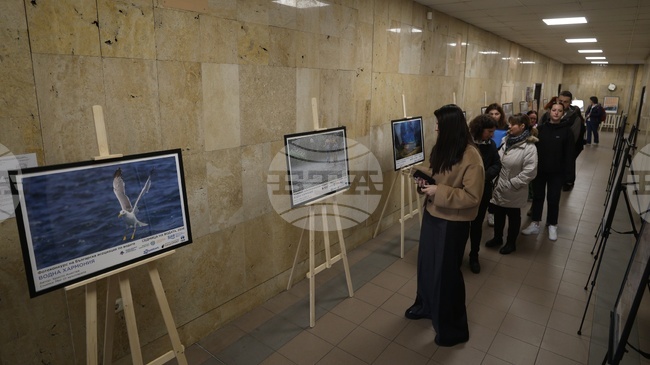 Фотоизложба „Водна хармония“ с 40 фотографии посветени на водата, беше открита в Минно-геоложкия университет в София 