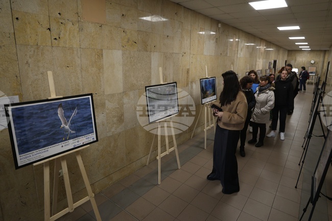 Фотоизложба „Водна хармония“ с 40 фотографии, посветени на водата, беше открита в Минно-геоложкия университет в София 