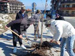 Снимка: Община Банско