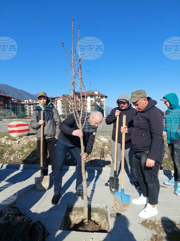 Община Банско: През седмицата на гората - ”По-зелено Банско”