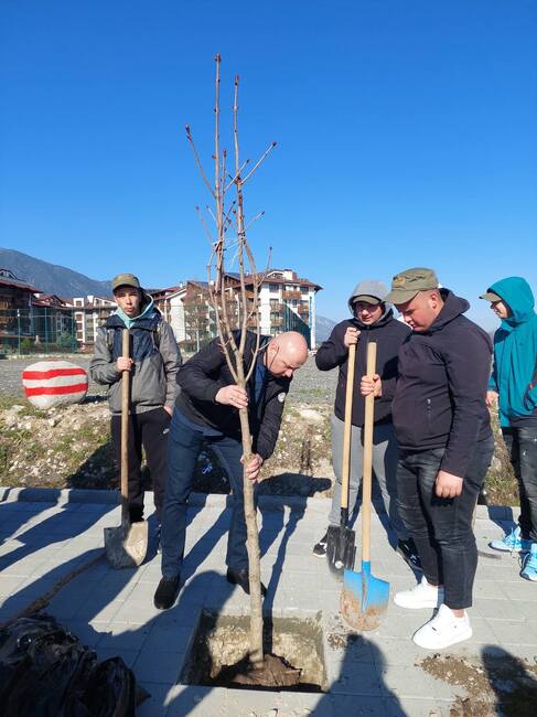 Община Банско: През седмицата на гората - ”По-зелено Банско”