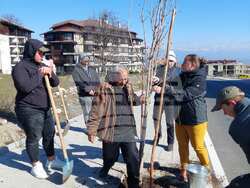 Снимка: Община Банско