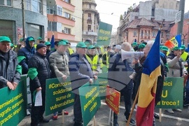 Румъния - Букурещ - фермери - протест