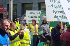 Румъния - Букурещ - фермери - протест