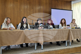 Видин - трансграничен проект - семинар