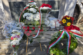 Видин - Лайош Кошут - честване