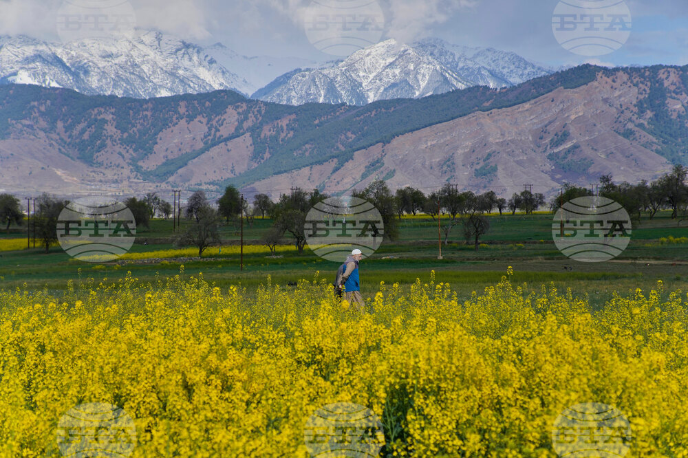 India Kashmir Daily Life