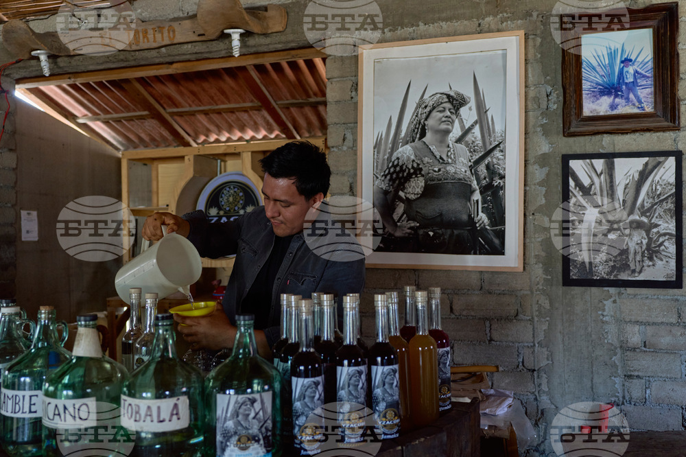 Climate Mexico Mezcal The Process