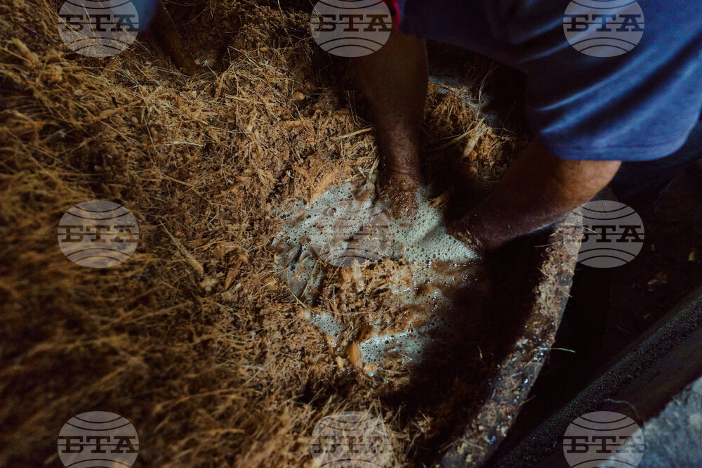 Climate Mexico Mezcal The Process