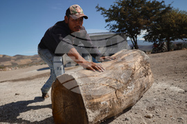 Climate Mexico Mezcal Deforestation