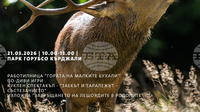 С интерактивни игри, изложба и куклен театър в Кърджали ще бъде отбелязан световният ден, посветен на възстановяването на дивата природа