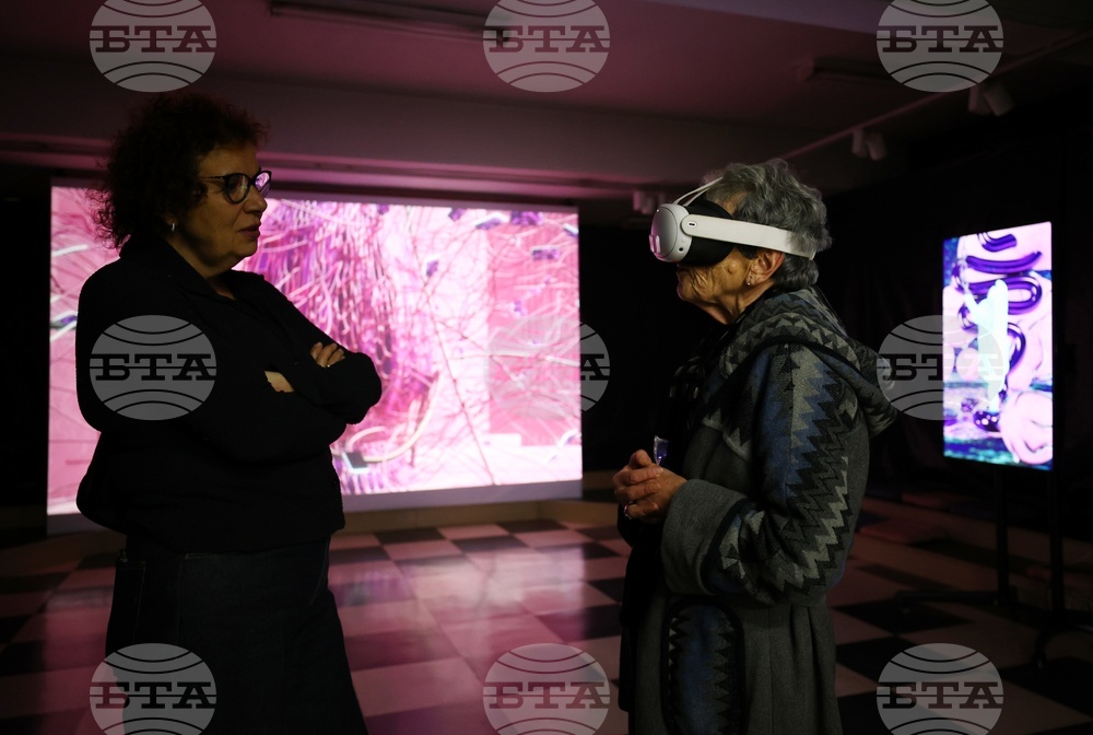 Мултимедийна инсталация „Симбиотична синхроничност“