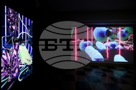 Мултимедийна инсталация „Симбиотична синхроничност“