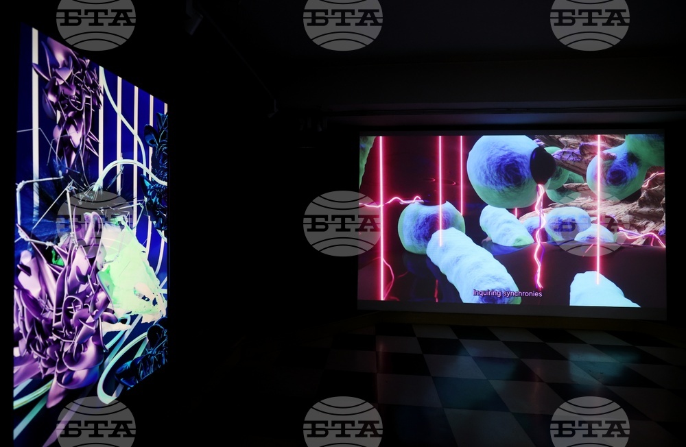 Мултимедийна инсталация „Симбиотична синхроничност“