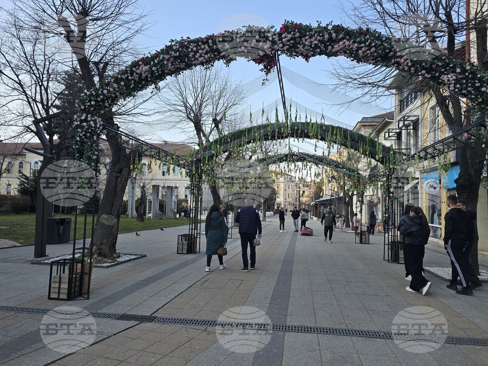 Враца - пролетна украса