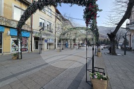 Враца - пролетна украса