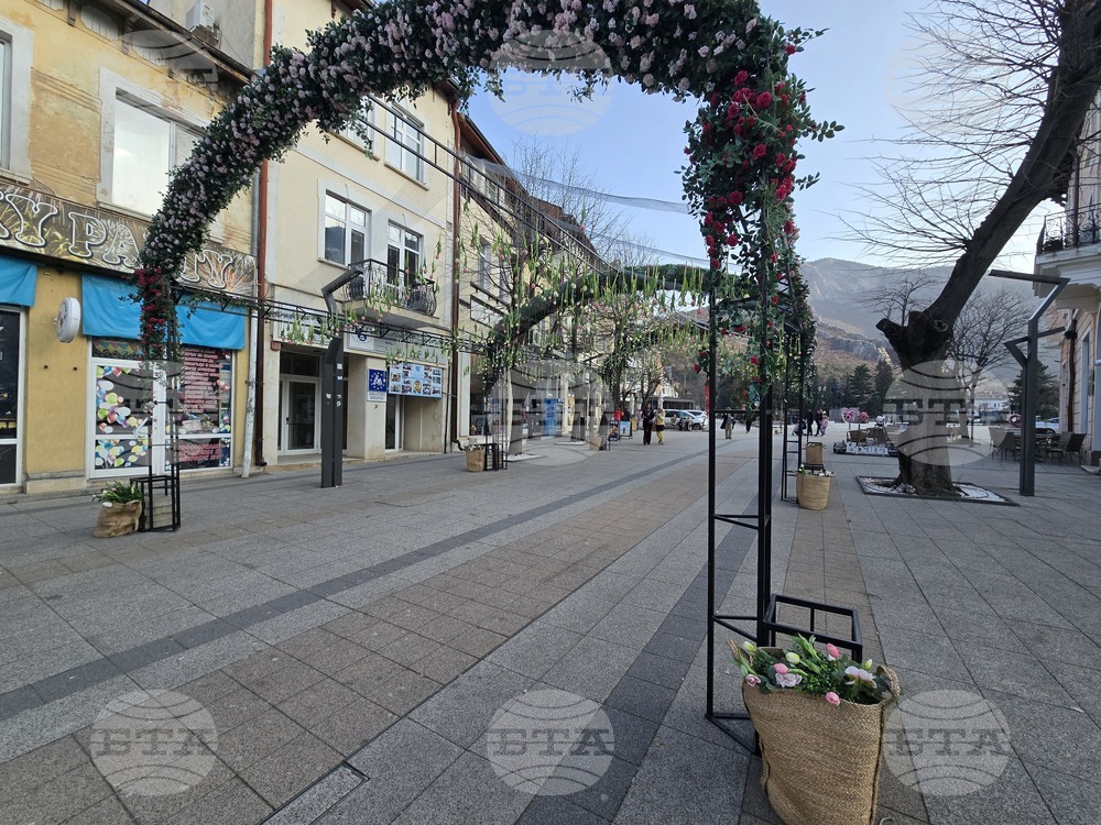 Враца - пролетна украса