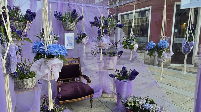 Цветни композиции ще украсят центъра на Враца в близките дни 