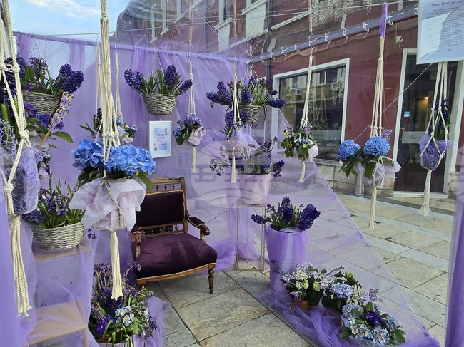 Цветни композиции ще украсят центъра на Враца в близките дни 