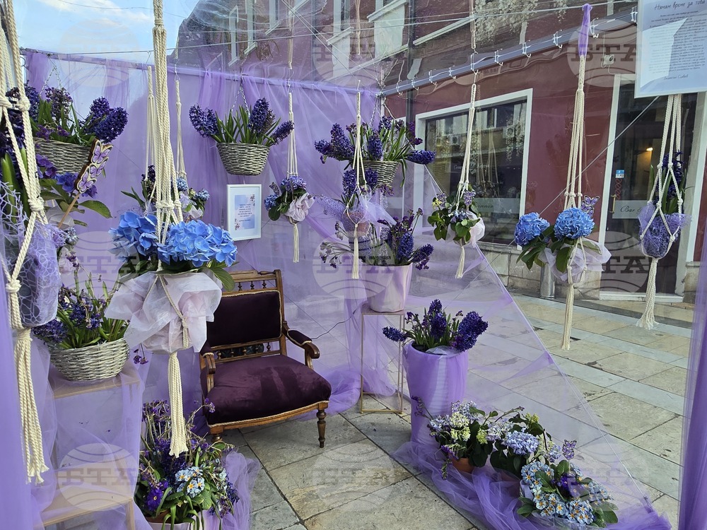 Враца - пролетна украса