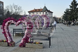 Враца - пролетна украса