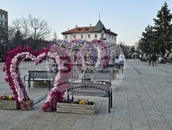Враца - пролетна украса