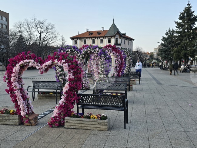 Враца - пролетна украса