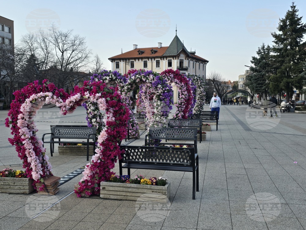 Враца - пролетна украса