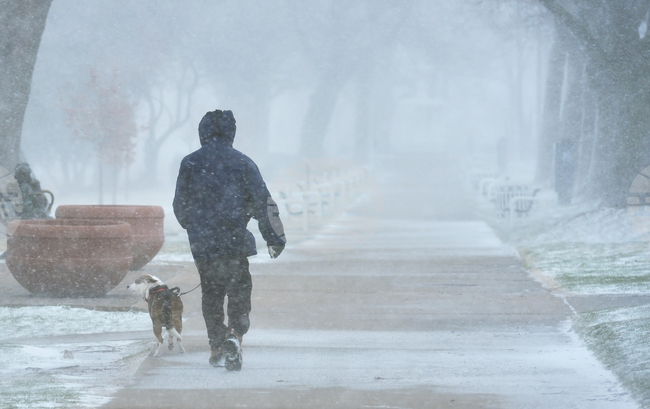 Winter Weather Michigan
