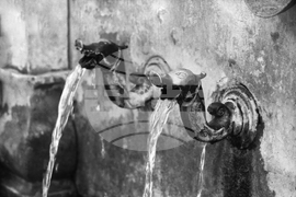 Бачковският манастир