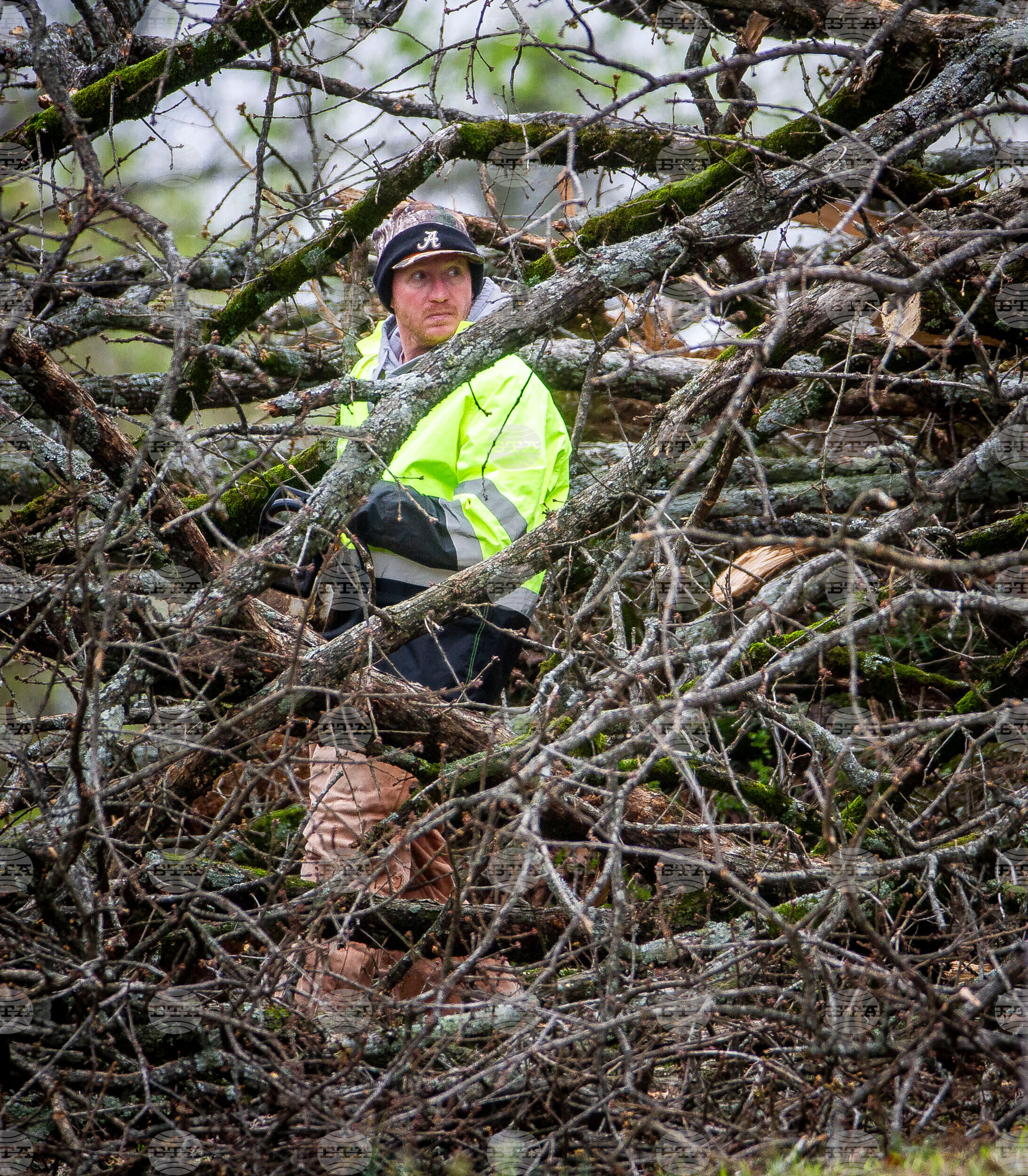 Severe Weather Alabama