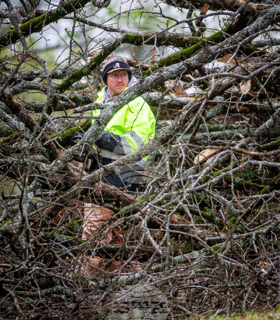 Severe Weather Alabama