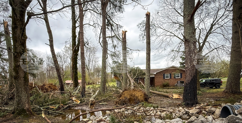 Alabama Tornado Weather