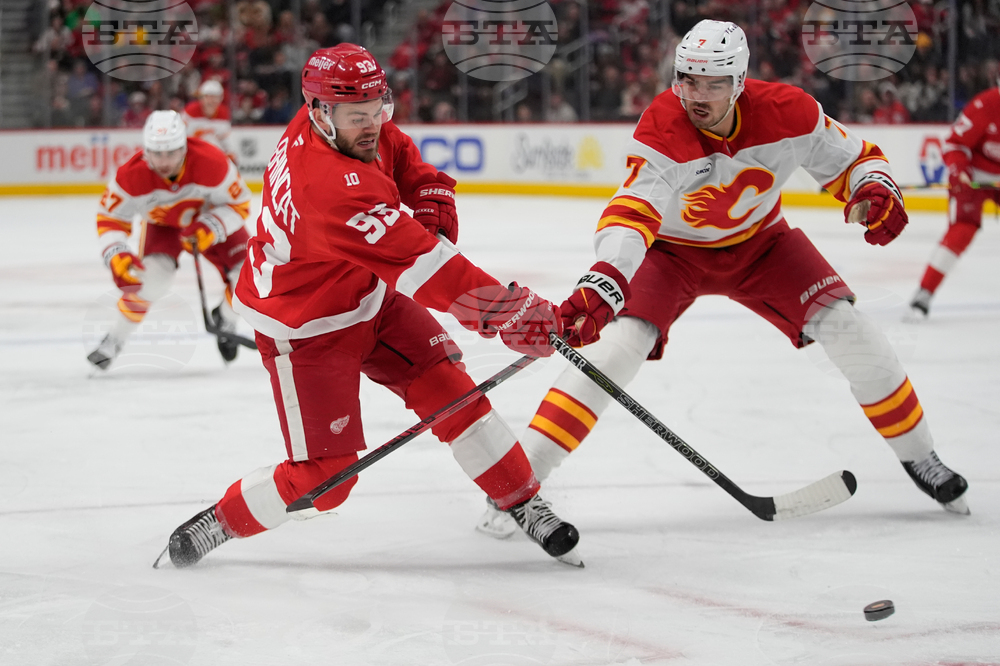 Flames Red Wings Hockey