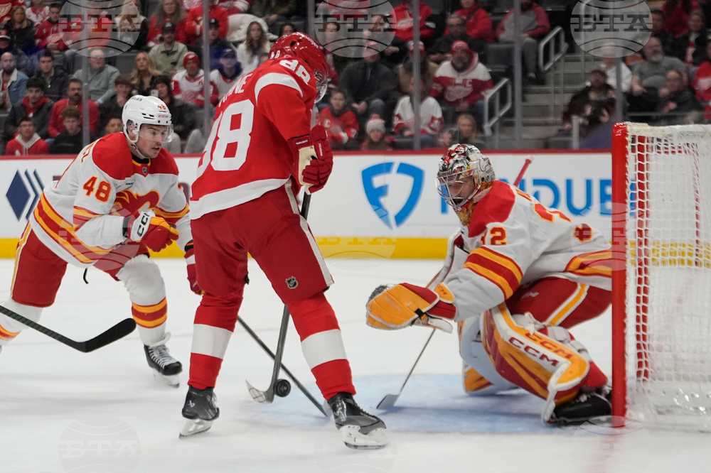 Flames Red Wings Hockey