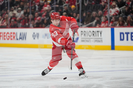 Flames Red Wings Hockey