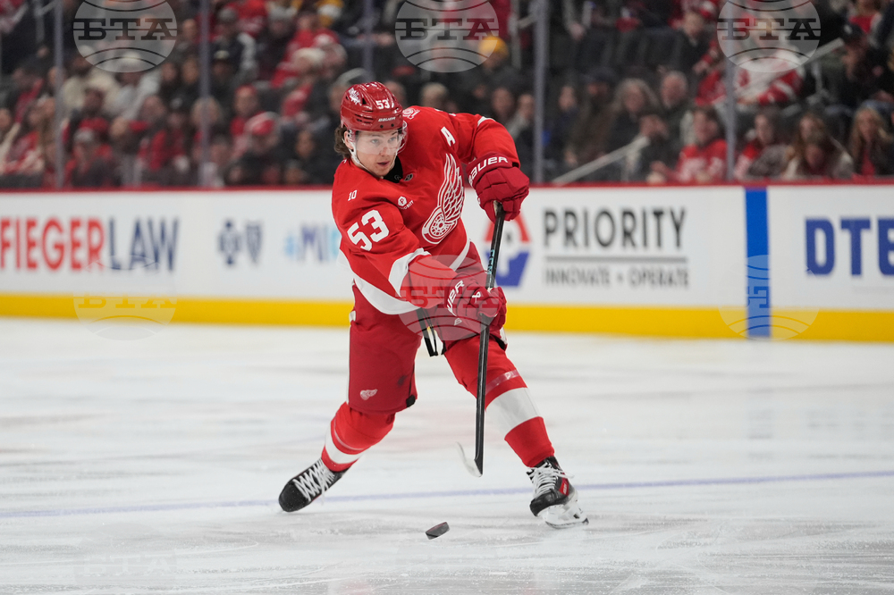 Flames Red Wings Hockey