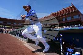 Brewers Dodgers Spring Baseball
