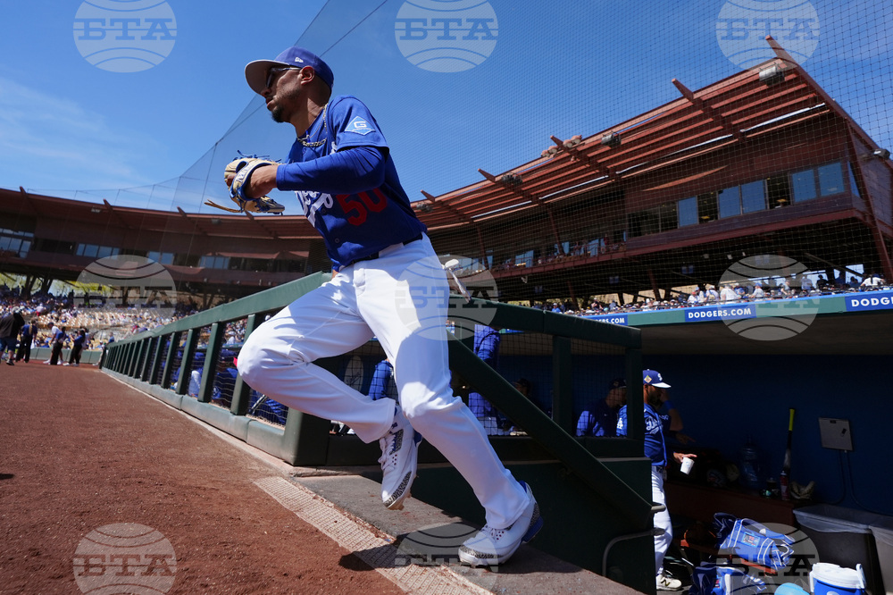 Brewers Dodgers Spring Baseball