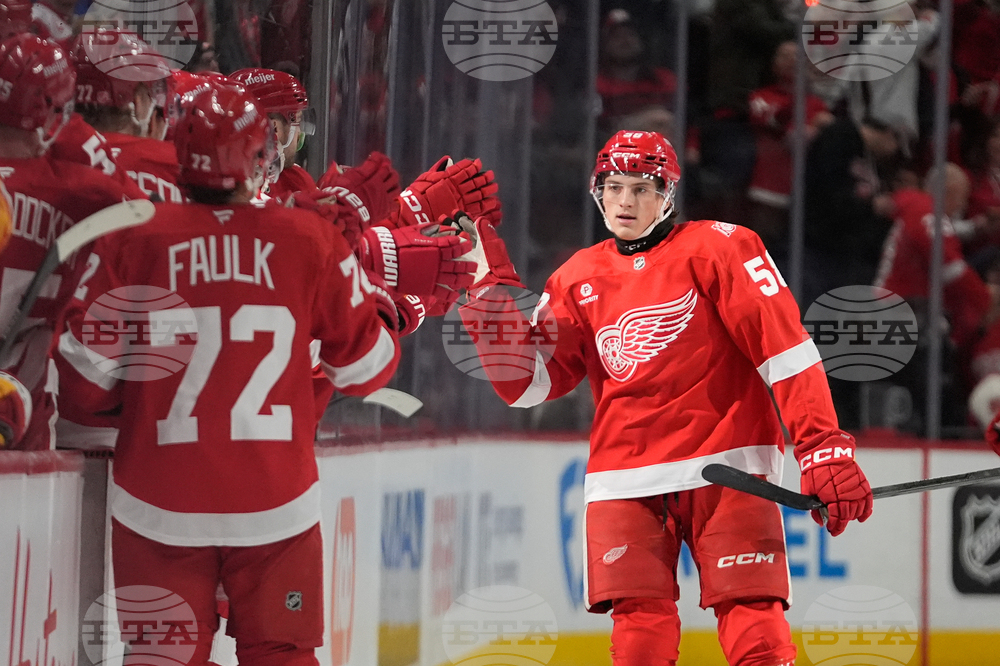 Flames Red Wings Hockey