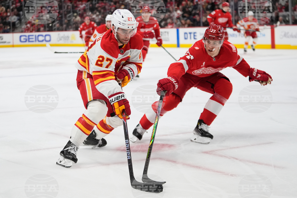 Flames Red Wings Hockey