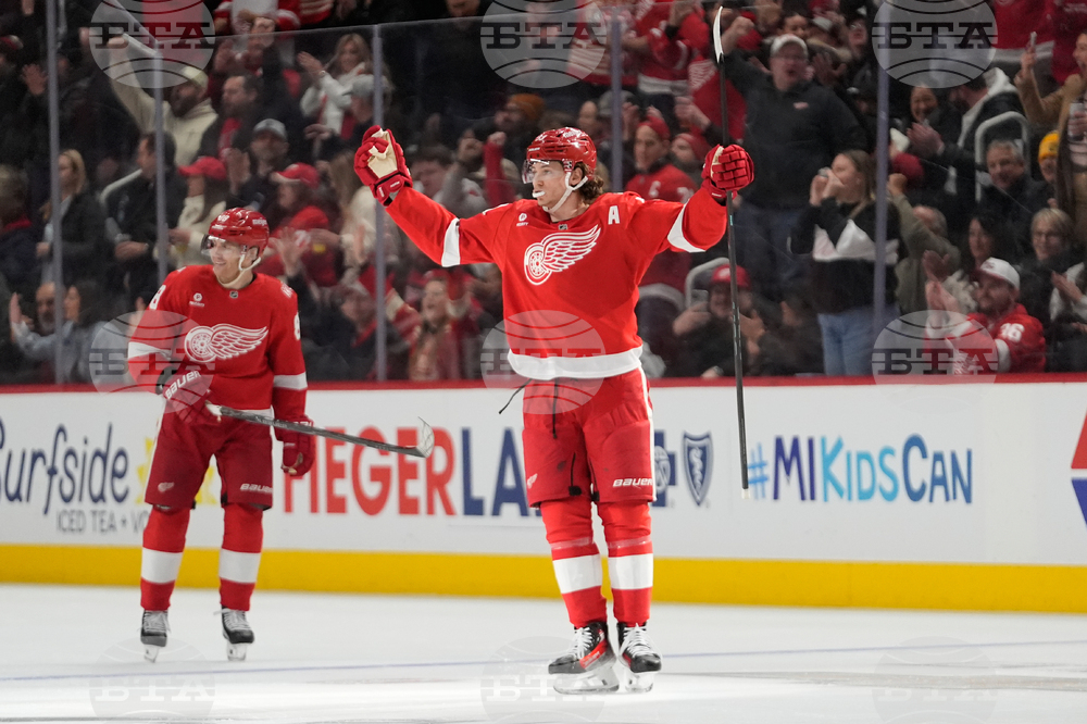 Flames Red Wings Hockey