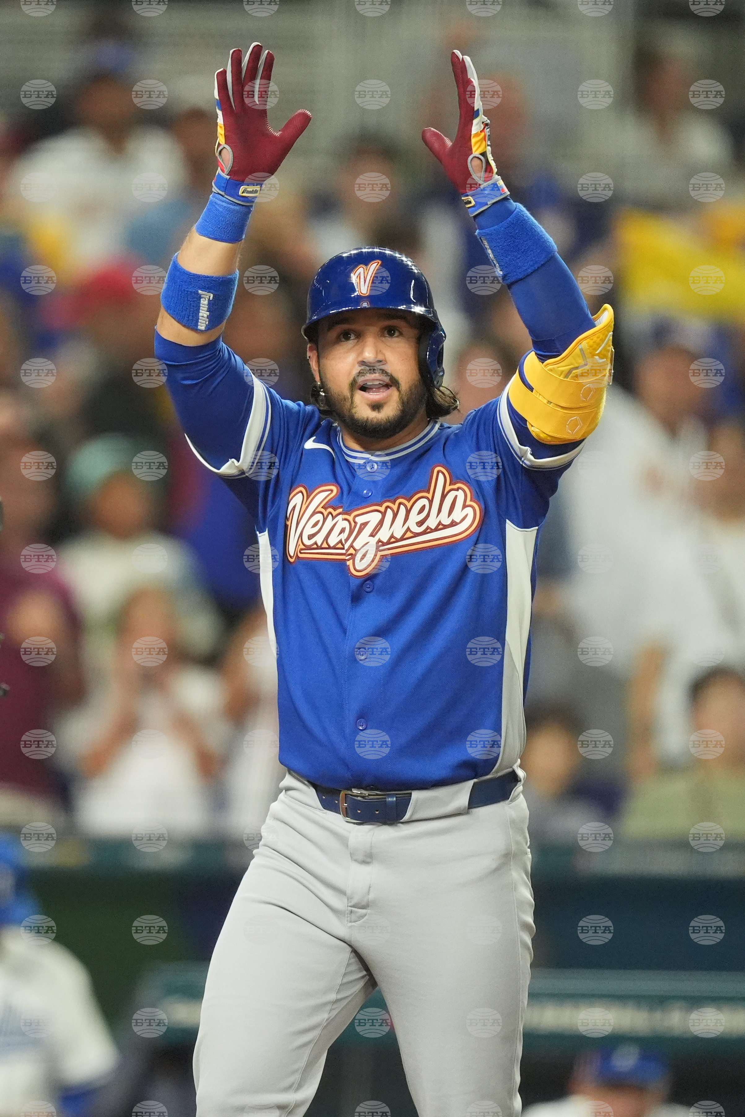 WBC Venezuela Italy Baseball