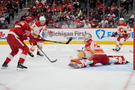 Flames Red Wings Hockey