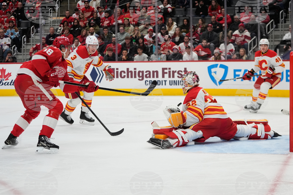 Flames Red Wings Hockey