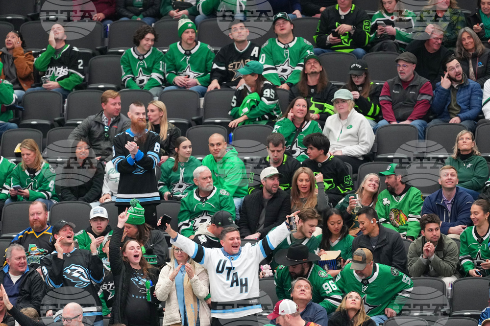 Mammoth Stars Hockey