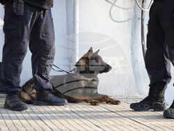 Бургас - полицейски участък - задържани лица
