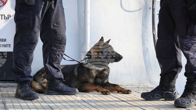 Два сака и чувал с марихуана са открити в избено помещение в жилищен блок в Бургас 